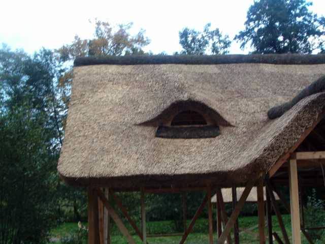 Dachy z trzciny nowe dachy
