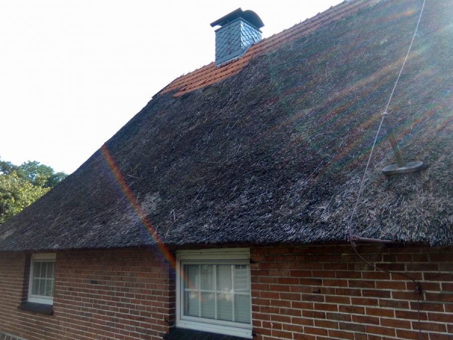 Dachy z trzciny renowacja dachów